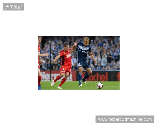 4名澳超球员入选澳大利亚3月大名单，墨尔本城占两席